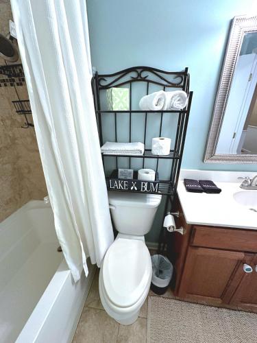 a bathroom with a toilet and a sink and a tub at Lady of the Lake in Chapin