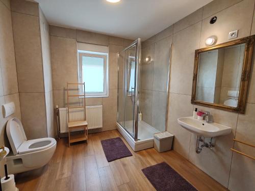 a bathroom with a toilet and a sink and a shower at Savski Gaj in Zagreb