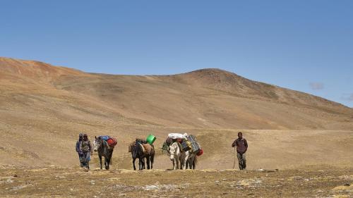 a group of people and a group of horses walking down a hill at Rock Castle Residency in Leh