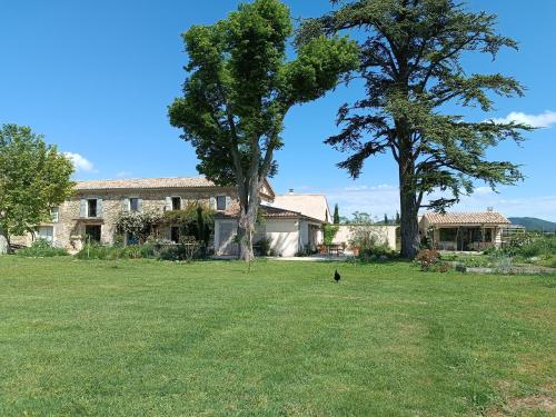 a cat sitting in the grass in front of a house at La Bohême La Belle Etoile Petit déjeuner compris in Charols