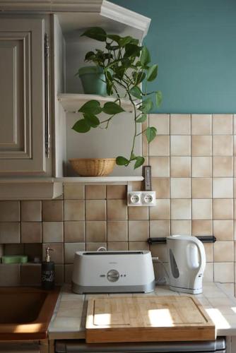 un comptoir de cuisine avec un grille-pain et une plante en pot dans l'établissement Le Cocon Asprion, à Aspres-lès-Corps