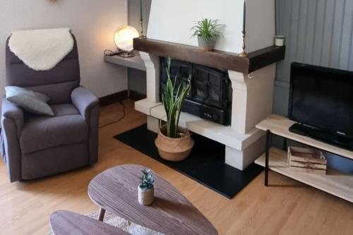 un soggiorno con camino e sedia di Le Cocon Asprion a Aspres-lès-Corps