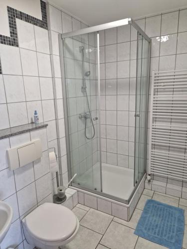 a bathroom with a shower and a toilet and a sink at Erbacher Hof in Homburg