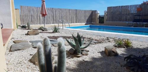 a backyard with a cactus and a swimming pool at Casa Logos Stintino - Private pool in Stintino