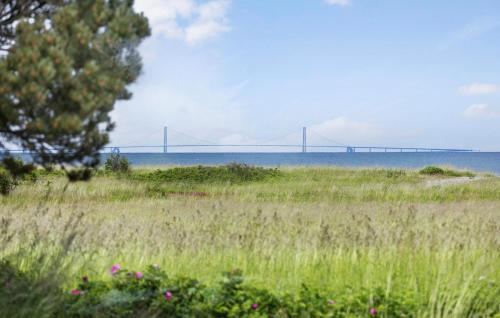 a bridge over the water with a field with flowers at Three-Bedroom Holiday Home In Tranekar in Tranekær