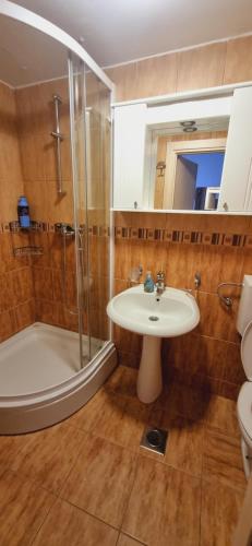 Koupelna v ubytování Apartman Lila