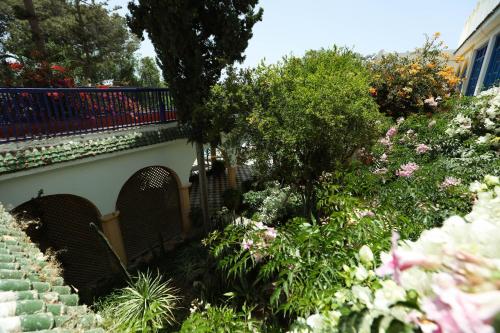 a garden with chairs and flowers next to a building at Riad Isla in Essaouira