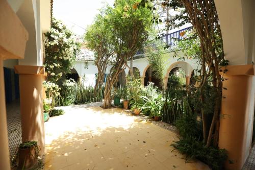 a courtyard with trees and plants in a building at Riad Isla in Essaouira