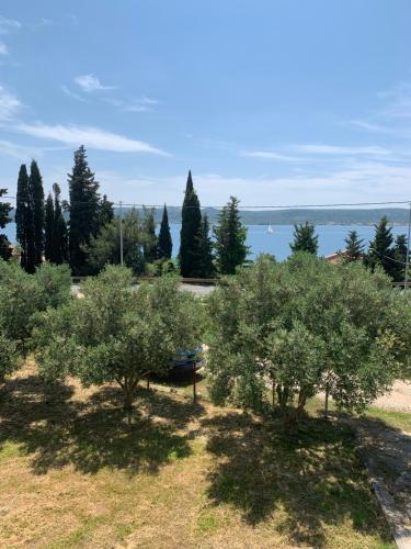 Sveti Petar - Seaview