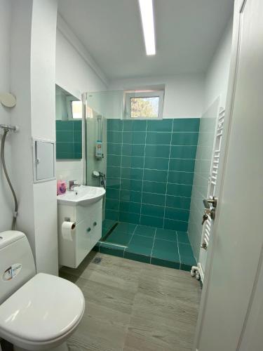 a bathroom with a toilet and a green tiled wall at M&M apartment in Tulcea