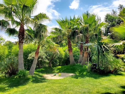 a row of palm trees in a park at Luxury Bali Villa in Hossegor 5 stars- Pool & Petanque in Hossegor