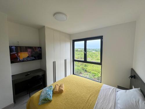 DREAM APARTMENTS ISTRA
