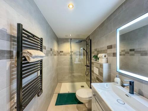 une salle de bain avec une douche, des toilettes et un lavabo dans l'établissement Confortable T2 - Plein Centre, à Tarbes