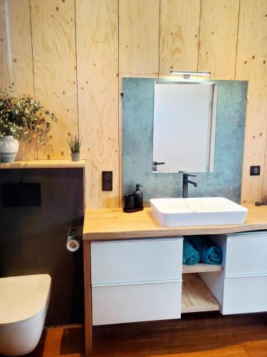 a bathroom with a sink and a toilet at Luxury Bali Villa in Hossegor 5 stars- Pool & Petanque in Hossegor