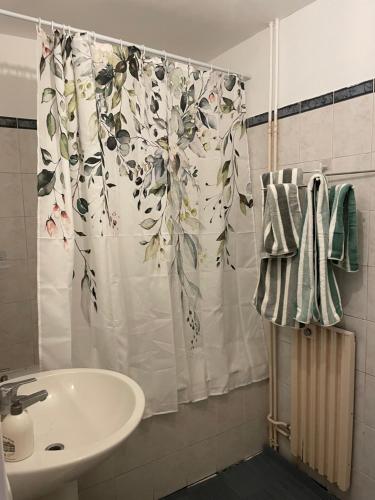 une salle de bain avec un lavabo et un rideau de douche dans l'établissement Apartment, à Épinay-sur-Seine