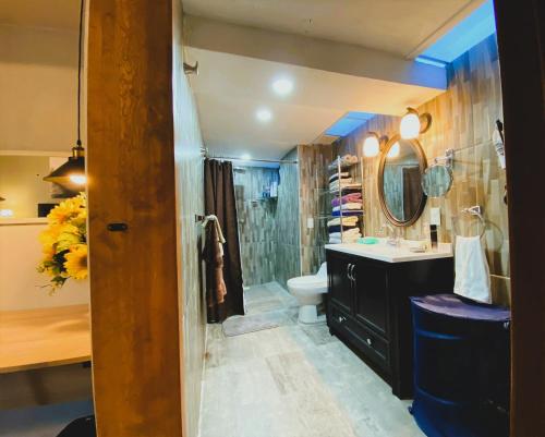 a bathroom with a shower and a toilet and a sink at Dickinson Guest House, Guadalajara Expo in Guadalajara