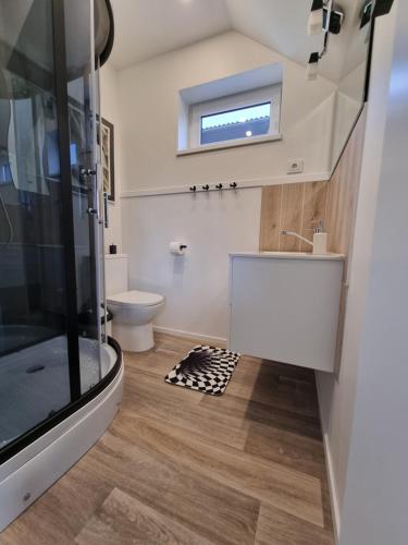 a bathroom with a shower and a sink and a toilet at Vila DRAGONFLY in Šventoji
