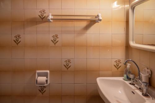 a bathroom with a sink and a mirror at Ulisse Apartments in Paleokastritsa