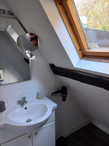 a bathroom with a sink and a mirror and a window at Le Poisson Ivre in Dinan