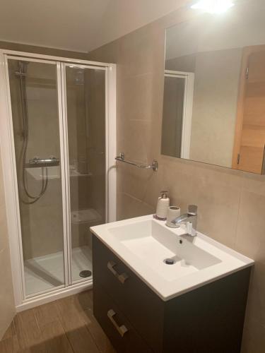 a bathroom with a sink and a shower at Appartamento Vacanze Chantal in Peio