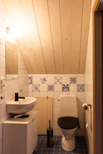 a bathroom with a toilet and a sink at Ängaröds Gård in Ljungbyhed