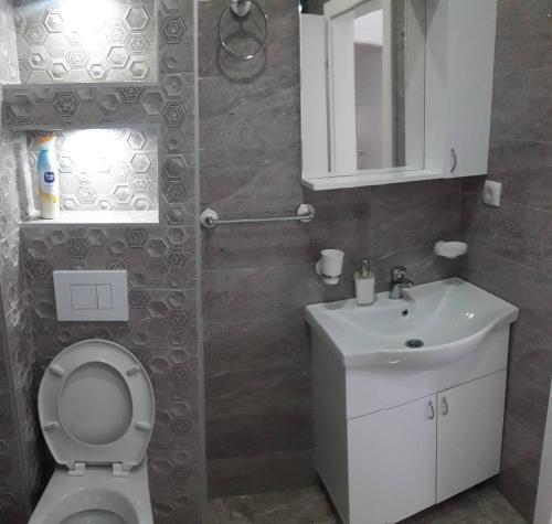 Koupelna v ubytování Apartman Vukosavljević