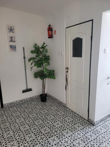 a hallway with a door and a potted plant at Pokoje Gościnne Galeon w Darłówku in Darłowo