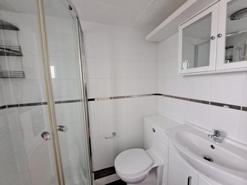 a bathroom with a toilet and a sink and a shower at Chic apartment in the heart of Brighton Marina in Brighton & Hove