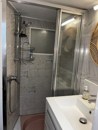 une salle de bain avec douche et lavabo dans l'établissement Love wins Montmartre, à Paris