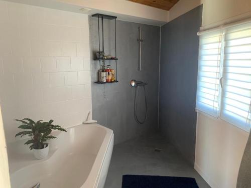 La salle de bains est pourvue d'une baignoire avec une plante. dans l'établissement maison en bois au bord de l'Hérault, à Saint-Bauzille-de-Putois