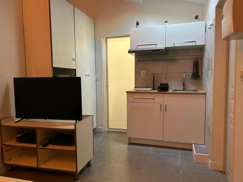 Il dispose d'une cuisine avec une armoire et une télévision à écran plat. dans l'établissement Studio villeurbanne, à Villeurbanne