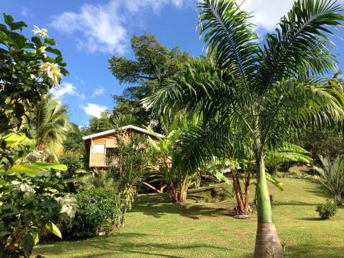 una palmera frente a una casa en Gîte 4 étoiles, la Vieille Sucrerie St Claude Guadeloupe, Jacuzzi Spa privatif, vue exceptionnelle sur la mer des Caraïbes en Basse-Terre