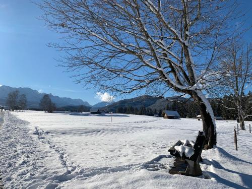 a snow covered field with a tree and a bench at Ferienwohnung Alpina 1 in Wallgau