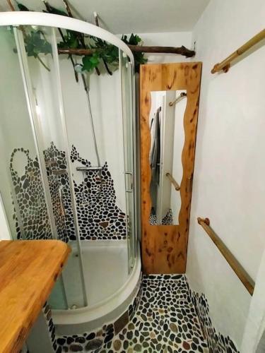 une salle de bain avec une douche avec une porte vitrée dans l'établissement Superbe T2 atypique climatisé rdc à 2mn de la Plage, à Saint-Cyprien