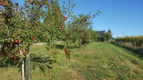 Κήπος έξω από το Ferme fruitière zéro traitement