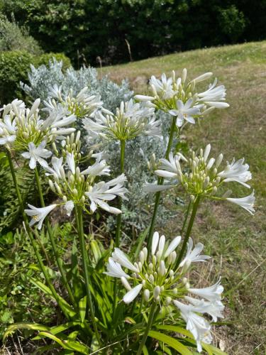 Billede fra billedgalleriet på Maison calme bord de mer 150m i Saint-Lunaire