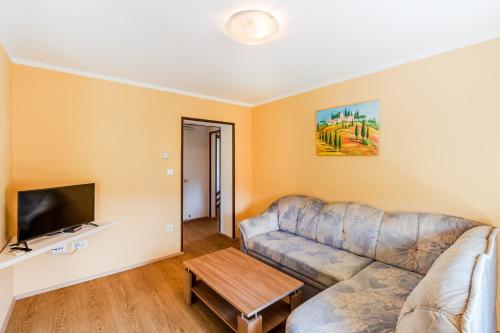 a living room with a couch and a flat screen tv at Apartments Orhideja in Tolmin