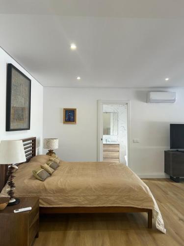 a bedroom with a large bed and a television at Quinta Verde Algarve in Medronhal