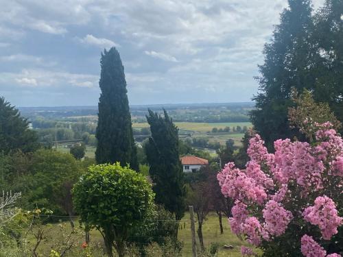 a group of trees and pink flowers in a field at Maison avec accès piscine et jacuzzi in La Réole