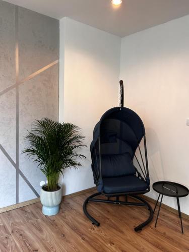a black chair sitting next to a potted plant at Apartament przy Rynku Świętego Antoniego in Wrocław