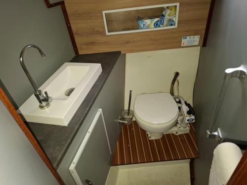 Un baño pequeño con inodoro y lavabo. en Jacht w Marinie Jastarnia, en Jastarnia