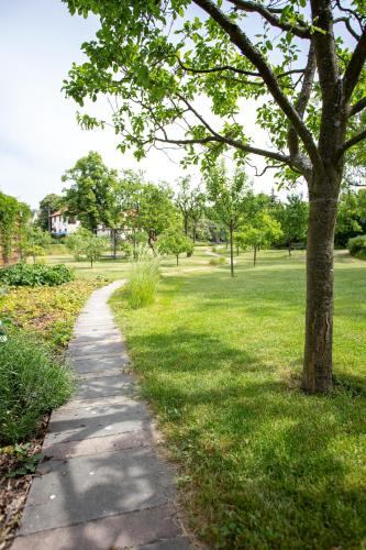 a path in a park with a tree at Chaloupka Křivoklát in Křivoklát