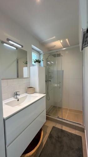 a bathroom with a sink and a glass shower at Les Terrasses de Malmedy - duplex 430 in Malmedy