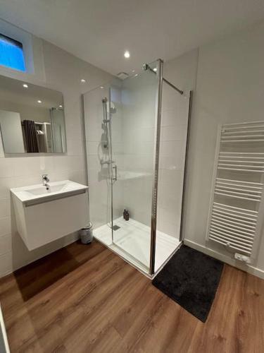 une salle de bain avec douche et lavabo dans l'établissement Appartement proche de la gare, à Rodez