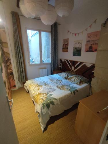 une chambre avec un lit et une fenêtre dans l'établissement Appartement Cosy et de charme Tours centre, à Tours