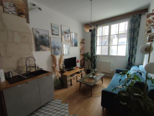 Appartement Cosy et de charme Tours centre