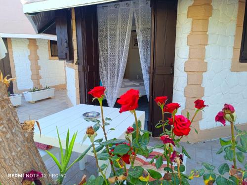 a patio with red flowers in front of a house at Spasmata Marios bungalows in Minia