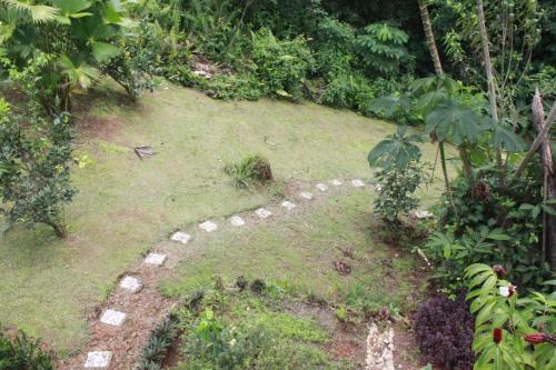 a garden with a stone path in the grass at Corcovado Private Houses-Villas-Tents-Nature-Relaxing in Puerto Jiménez