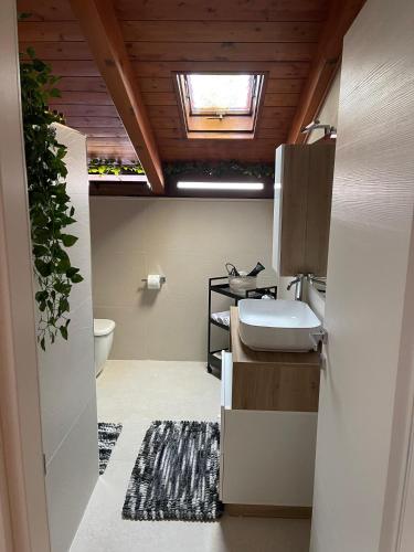 a bathroom with a sink and a toilet and a skylight at Vesux Apartments in Naples