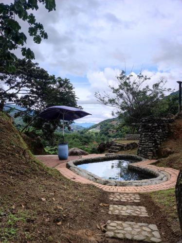 an umbrella sitting next to a small pool of water at Finca PiedrAlta Cisneros in Cisneros